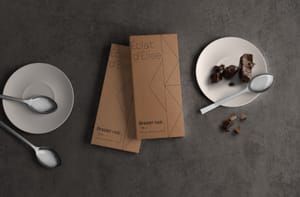 Projet Elise piste 1 mockup 